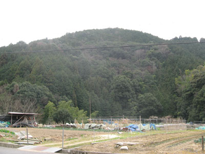 岸和田の田舎