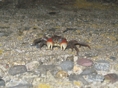 blog_051.JPG