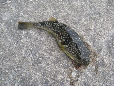 04.JPG